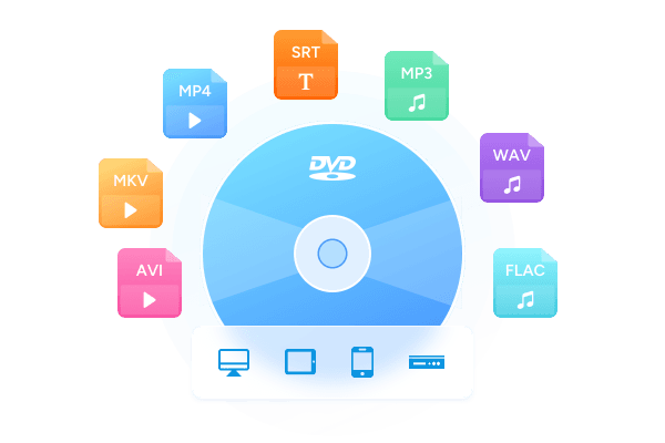 DVDを動画／音声形式にリッピング