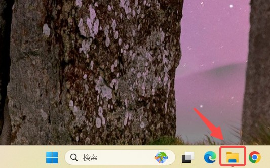 dvd pc 取り込み