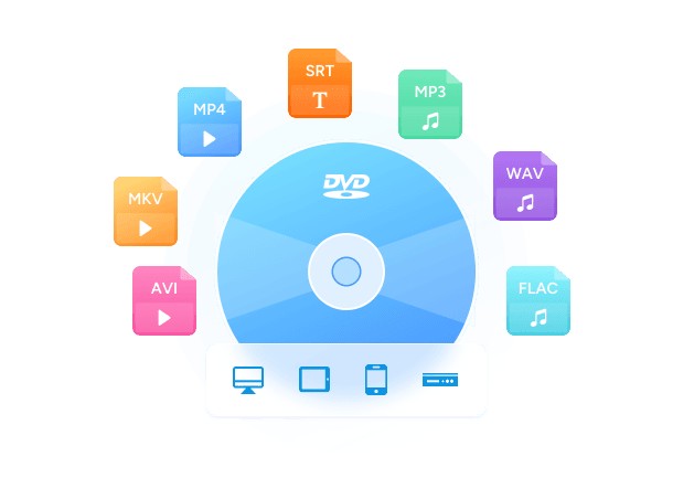 dvd 寿命